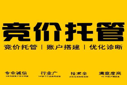 SEM竞价代运营公司成功案例解析